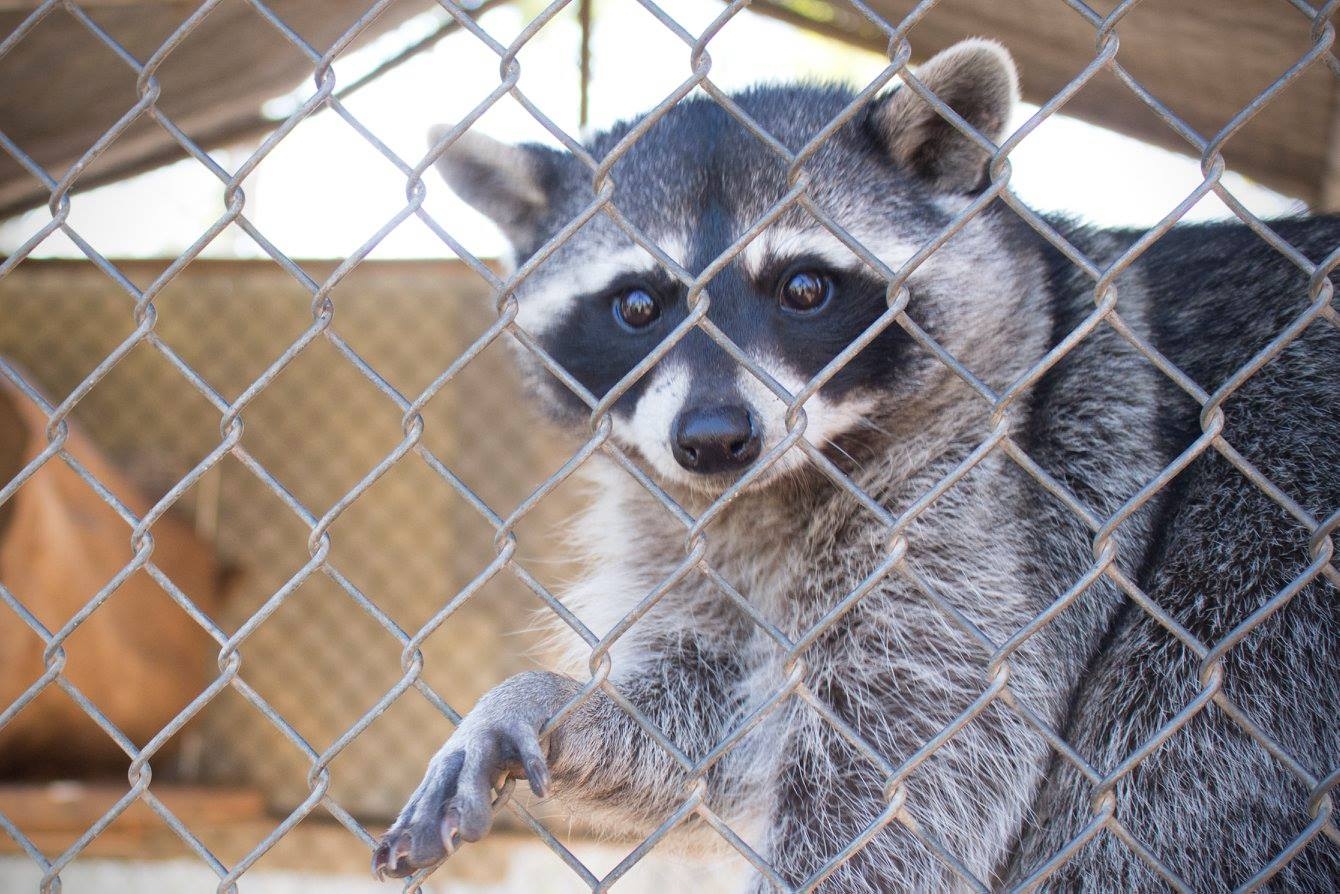 Imagen de la galería 1