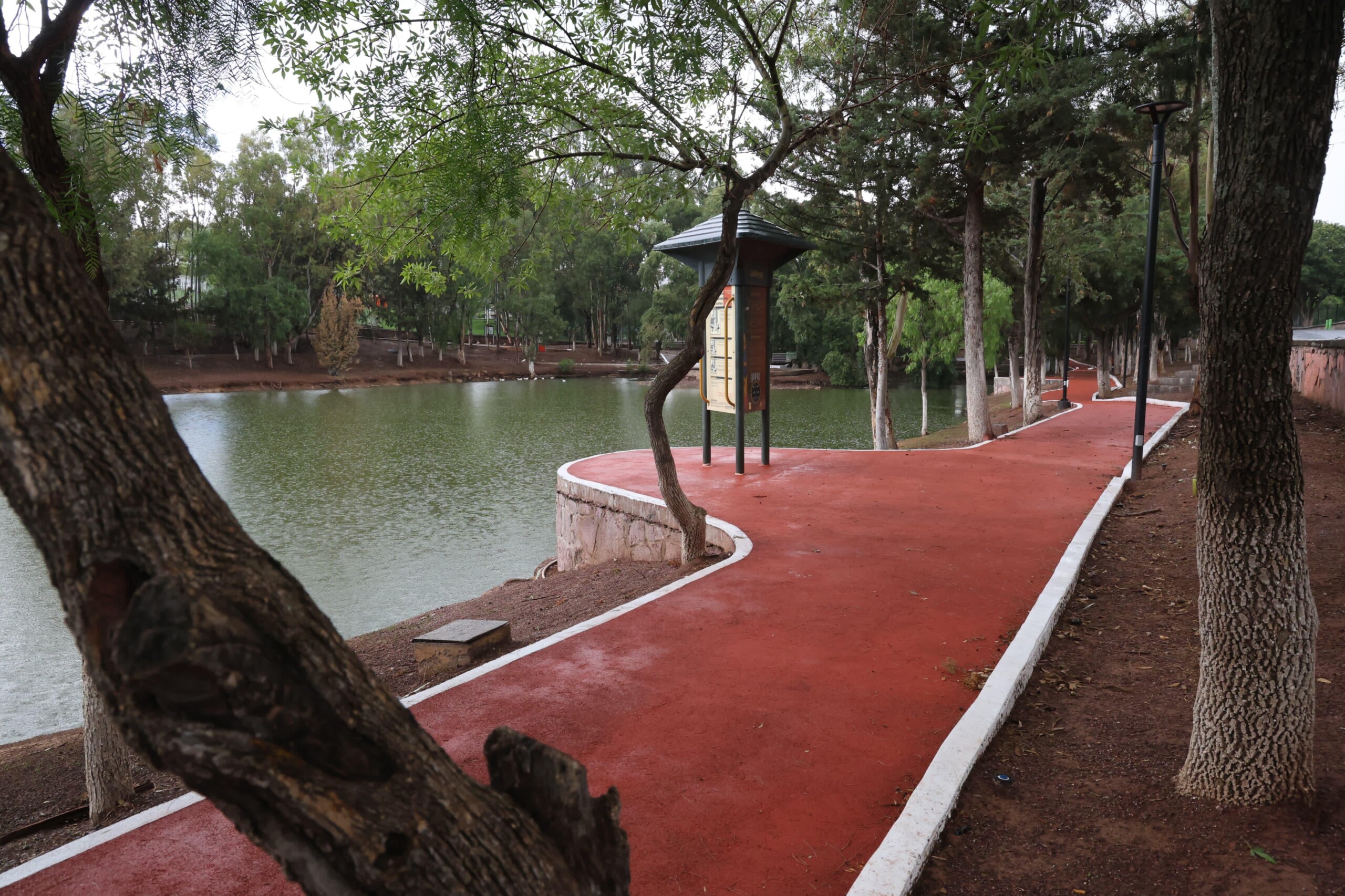 Imagen de la galería 4