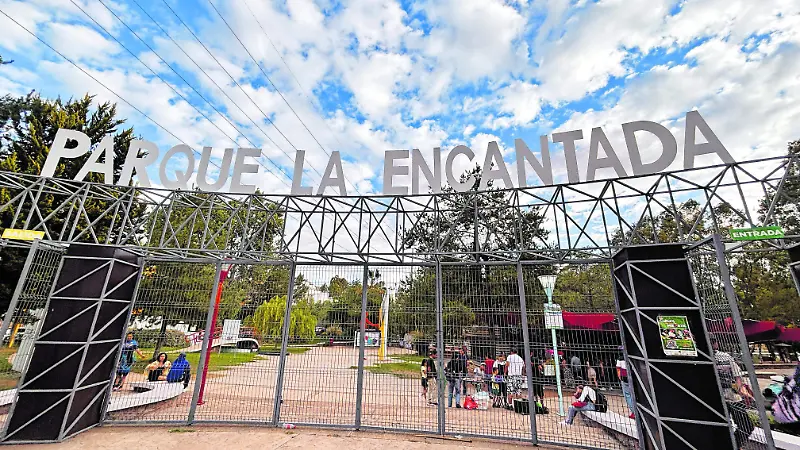 Imagen de la galería 5